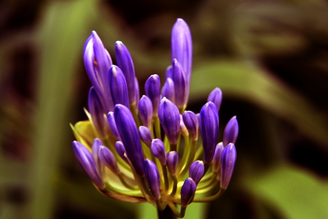 9球5助，吴曦刷新个人单赛季中超进球与制造进球纪录